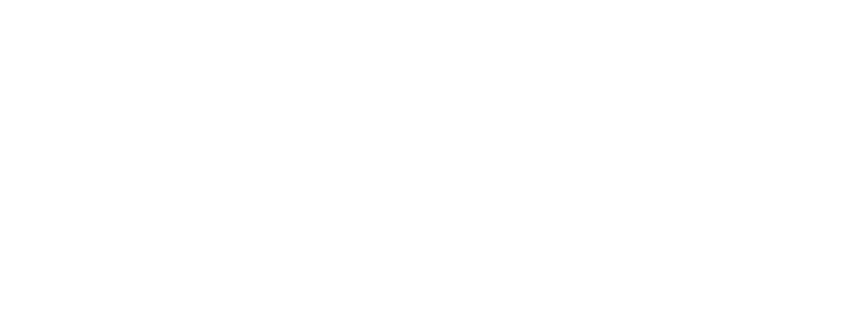 Bespoke Support Solutions — home